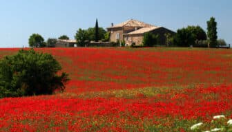 Le Clos de la Tuilerie