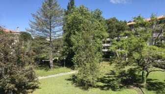 Vue depuis le balcon