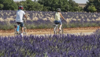 Site VTT FFC – Provence Verdon – Circuit 36 – Vert – Valensole