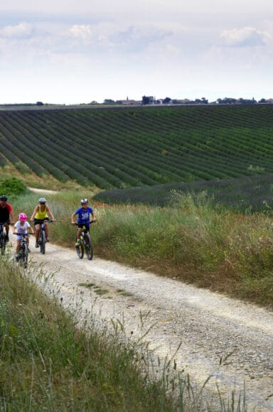 Séjour VTT en famille dans les Alpes de Haute-Provence. Vos vacances à vélo avec vos enfants