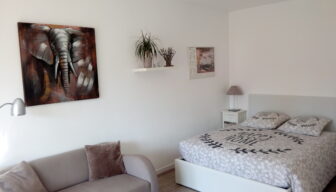 Studio 25m2