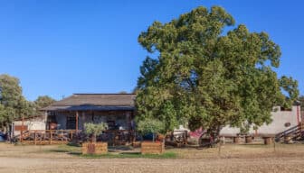 La Bodega de  Margaux_Saint-Julien le Montagnier